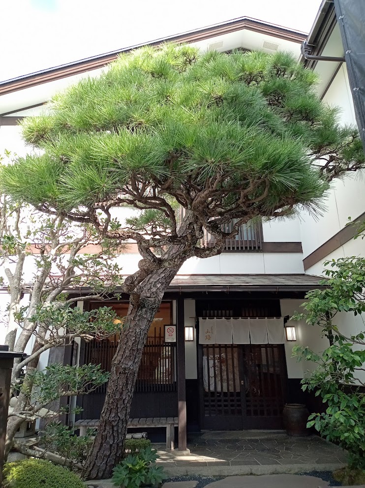 鎌倉・小町通りの蕎麦屋 かまくら山路の外観